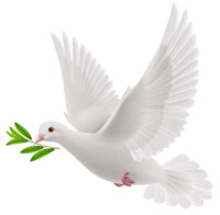 spiritual dove