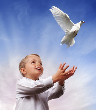 spiritual dove